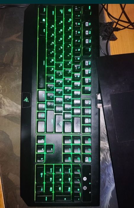 Клавиатура Razer Blackwidow