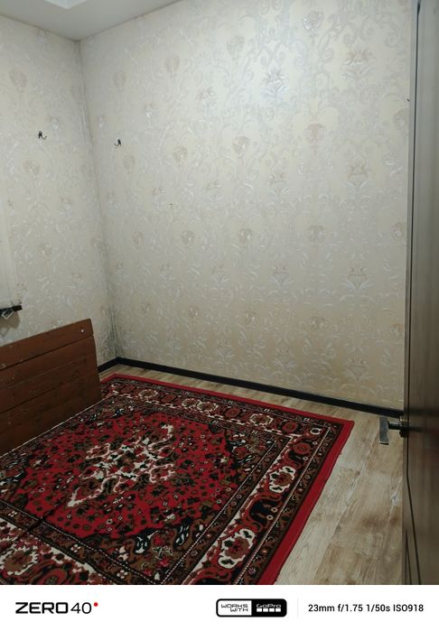 Срочна сотилади корасув 6