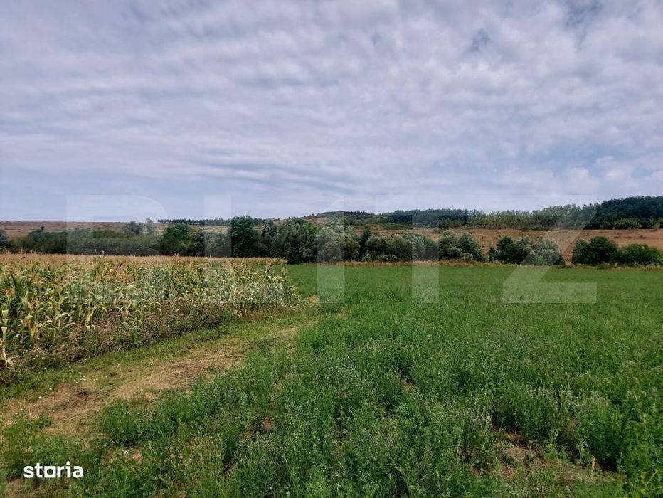 De vanzare teren Fundatura 27500mp - intravilan