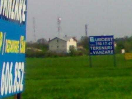 Inchiriez teren Ciolpani 6300 MP stradal DN1