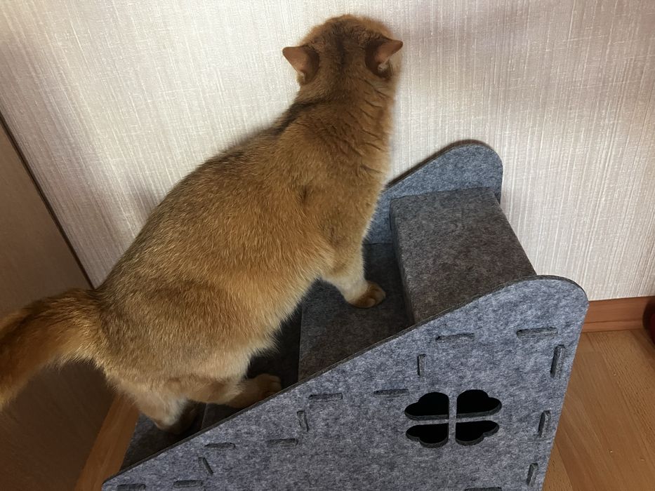 Лестница домик для кошек и собак из плотного фетра