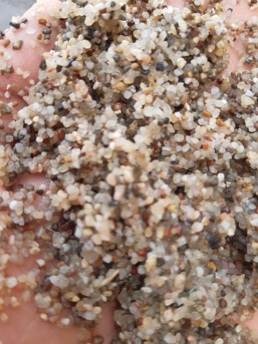 Galka toshla optom narxlada