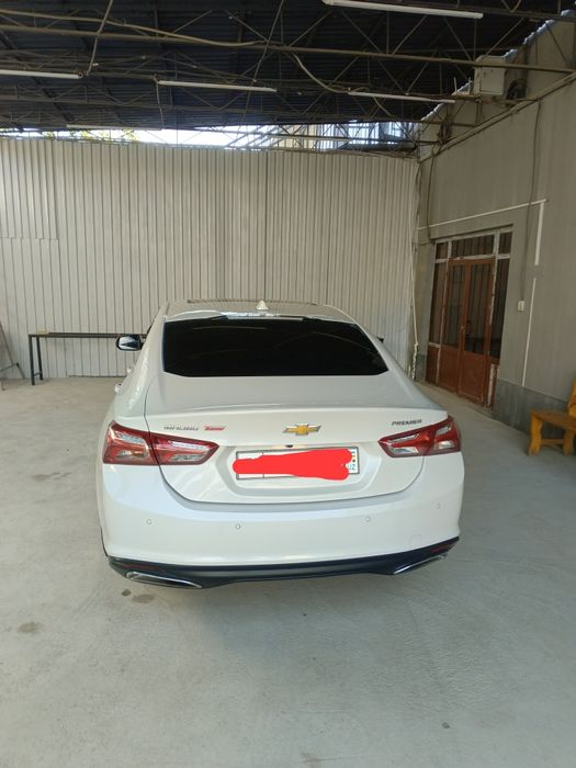 Maluba sotiladi xamma joyi yaxshi