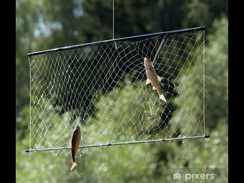 Рыболовные снасти