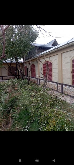 Bogʻbon sadovnik 12 -yillik agranom