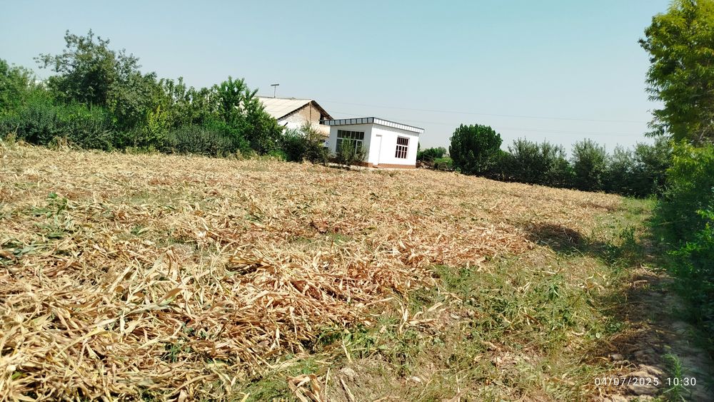 Tomorqa va uy joy sotiladi