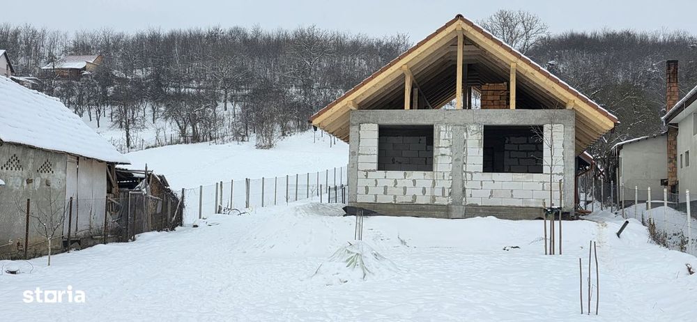 Proprietate deosebită în sat Chinari – Sântana de Mureș