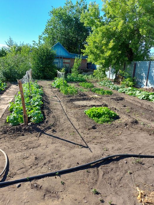Дача в Садоводе на Наримановке