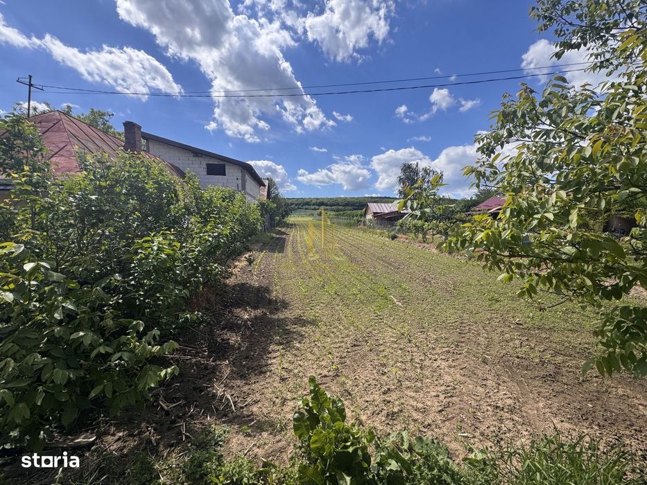 Teren 2.900 Mp În Zona Centrală Lipoveni – Acces Direct La Asfalt