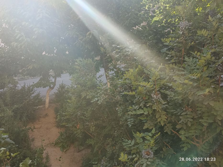 ‼️Qora-qamish 2/4 da kvartira