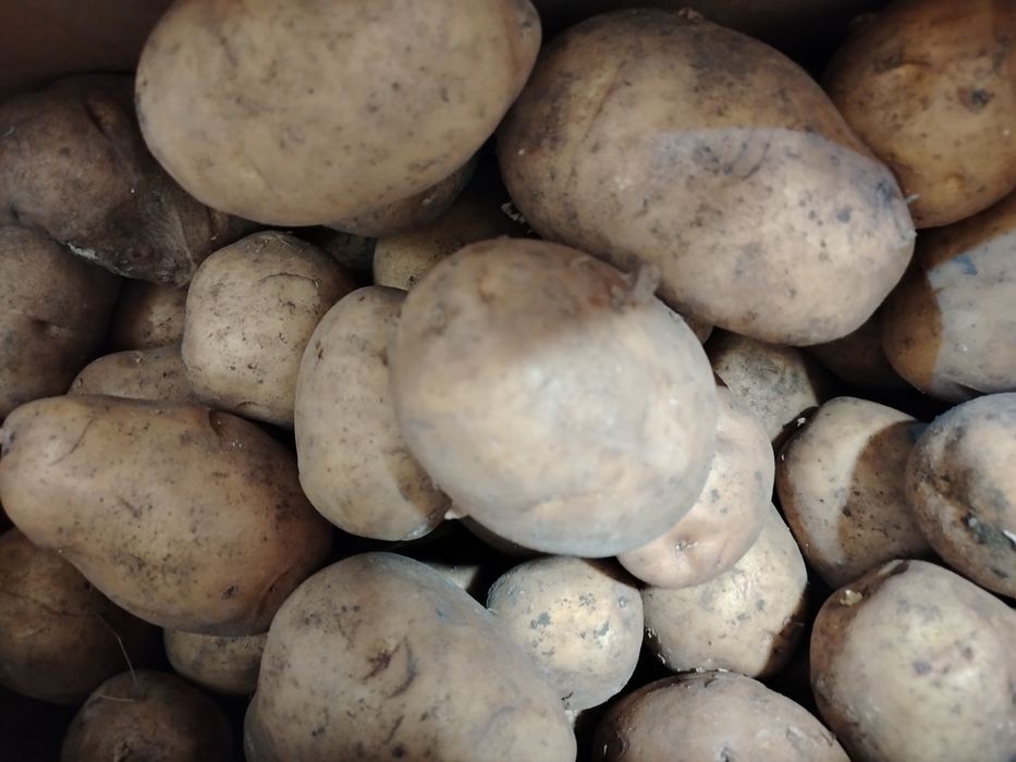 Домашняя картошка с доставкой