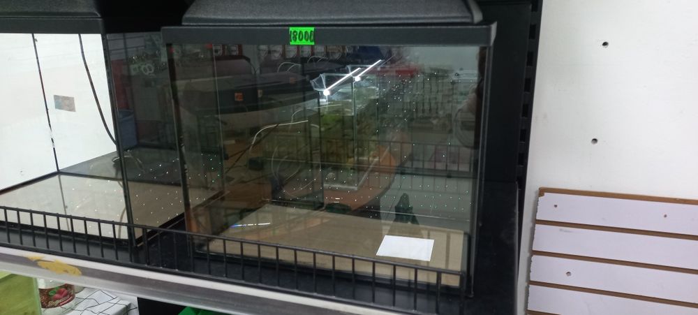 Аквриумы для домашних рыб