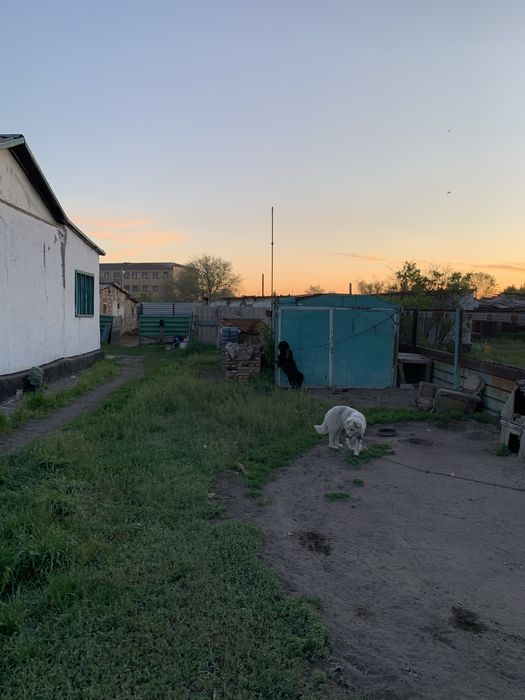 Продается дом или обмен на скот Самарка