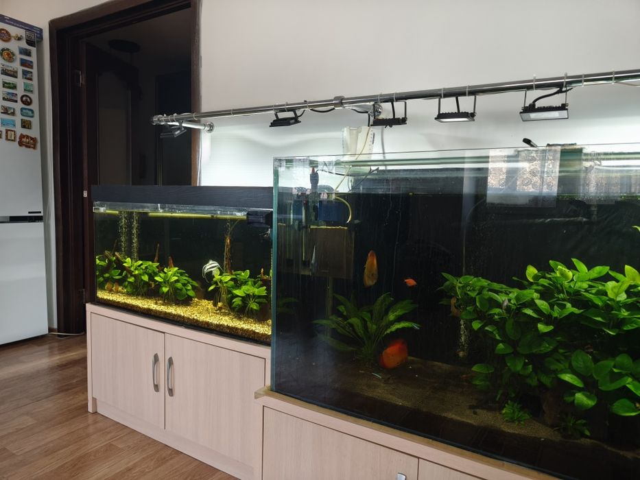 Продам аквариумы