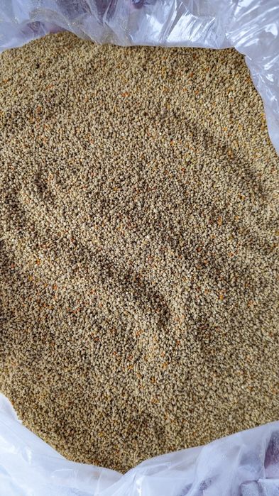 Vând polen crud 50lei/kg