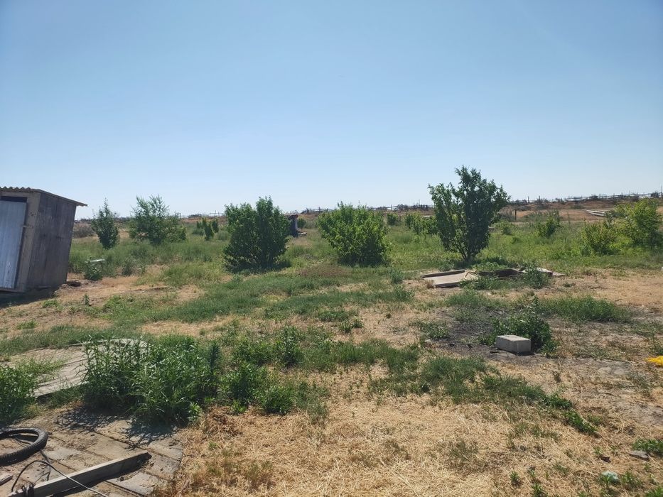 Продам к/х Жанаталап