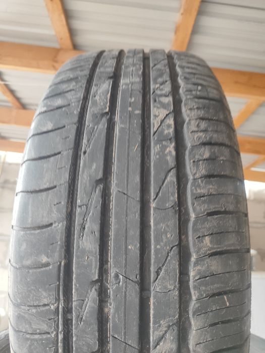 Жазгы донгелектер сатылады