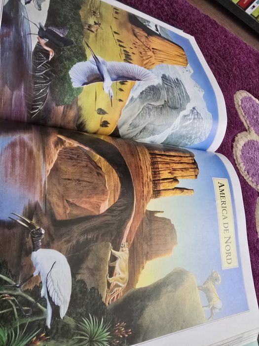 Carte-Descoperiti minunile lumii