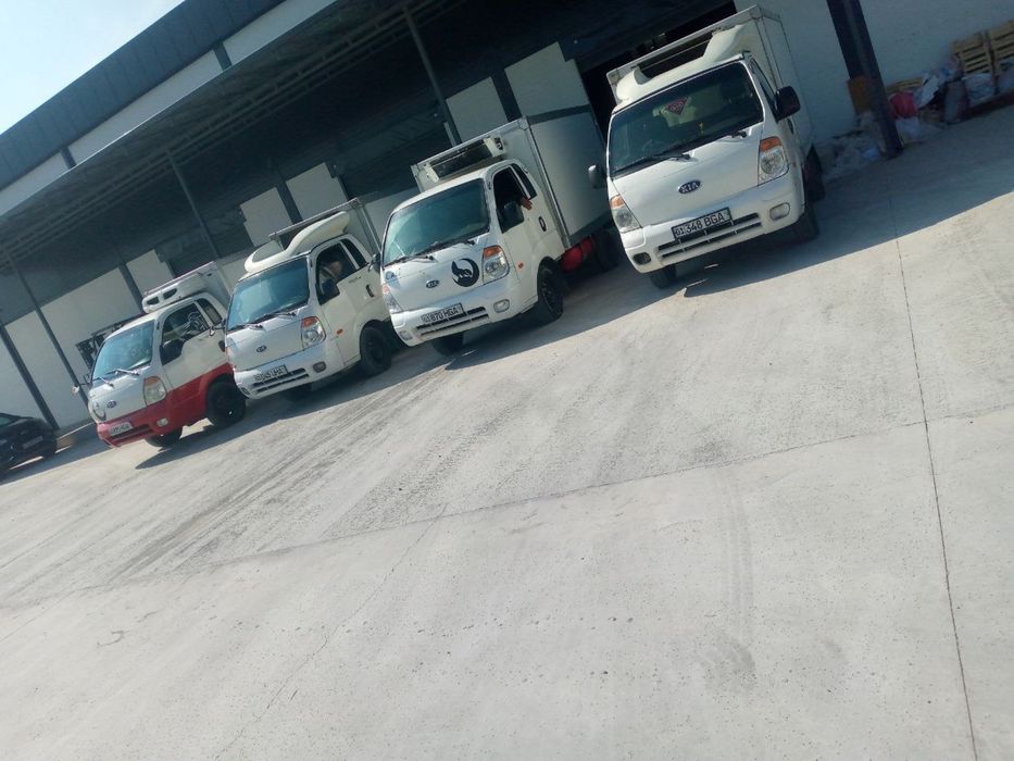 Yuk tashish xizmati. Toshkent shaxar va Uzbekiston bo’ylab