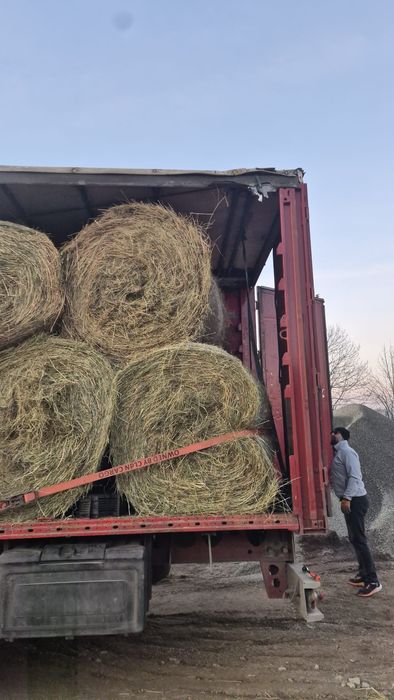 Baloti fan.Drept.min.500.Rotunzi lucerna min.40.Transport inclus>RO