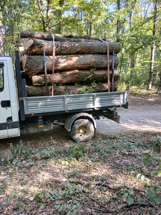 Vând lemn foc salcam și stejar