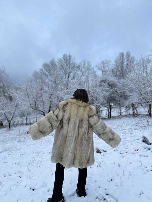 Blana de vulpe polara