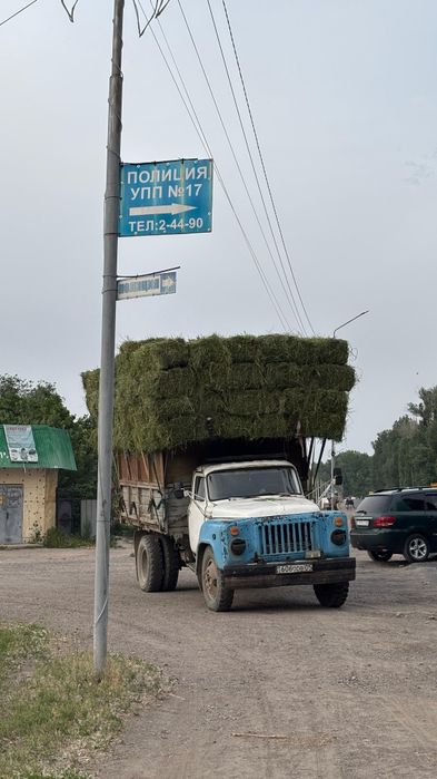 Жоңышқа сатылады [люцерно]