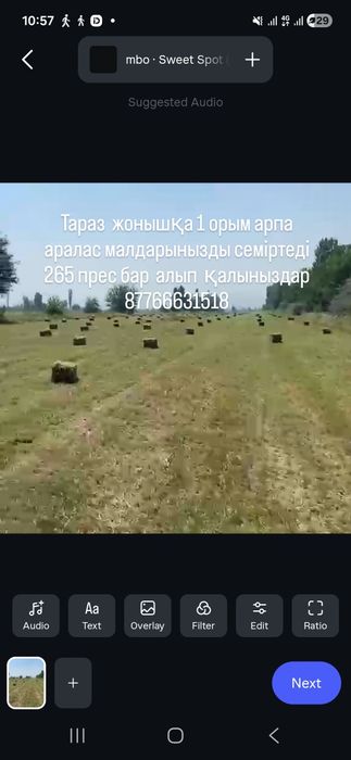 Шөп 1 орым жонышқа арпа аралас мал бордақыға