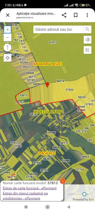 Teren extravilan Moara Vlasiei