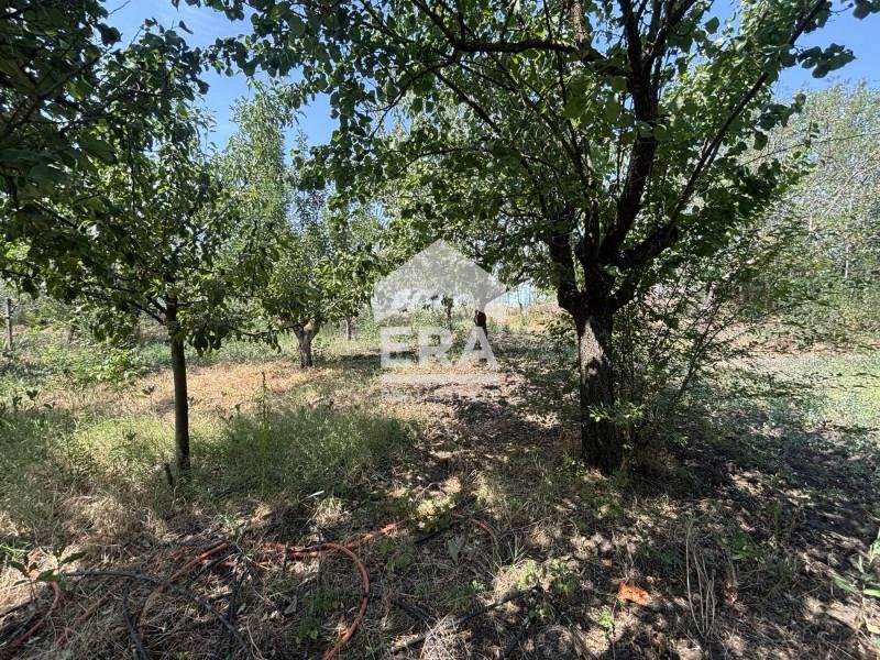 Ексклузивно!  Парцел  за продажба с партида за ток в село Момчилово, о