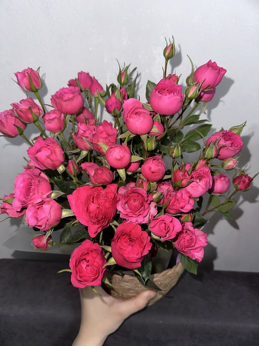 цветы кустовые розы