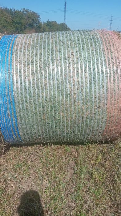 Lucerna coasa 4‼