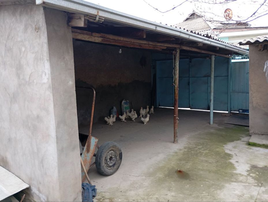 Uy Sotiladi Uchastka