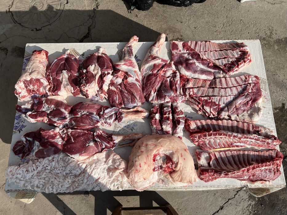 Тирик қўй, қассоб, тирик вазнига