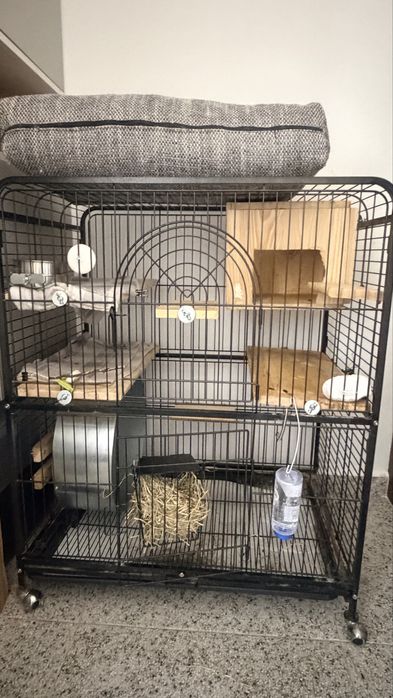 Cusca Chinchilla si accesorii