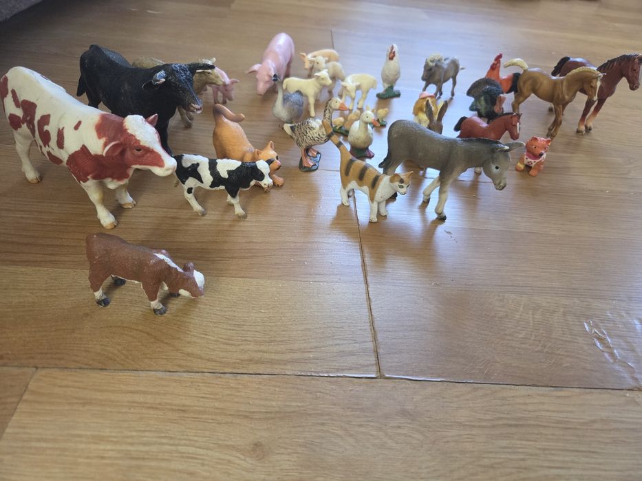 Colectie animale domestice si pasari