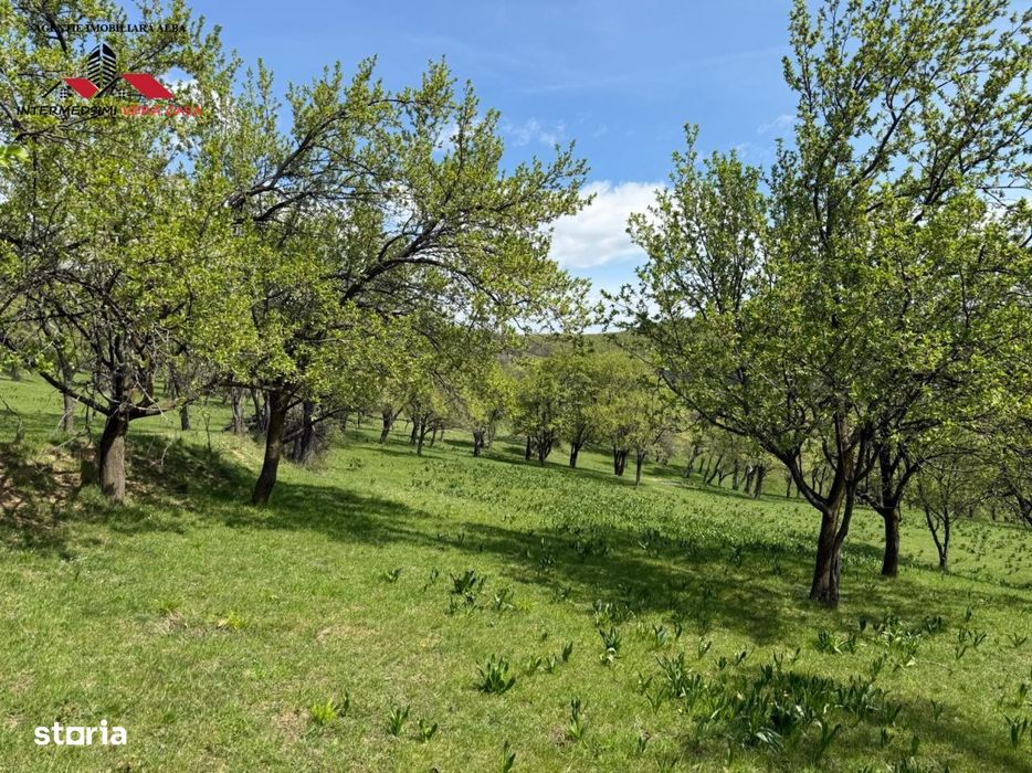 Teren intravilan 8330 mp de vanzare in Inuri Jud Alba