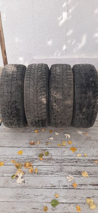 Болон Покрышка сатылады.