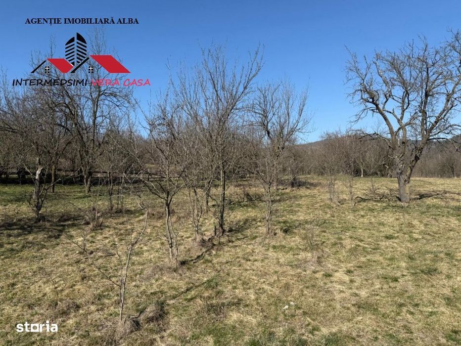 Casa si anexe cu un teren de 7701 mp de vanzare in Stauini  Jud Alba