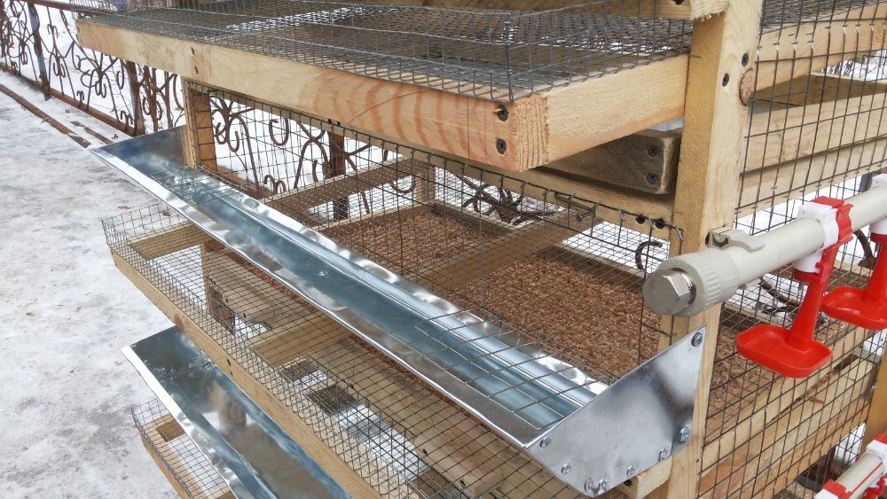 клетка для перепелов на 4 яруса