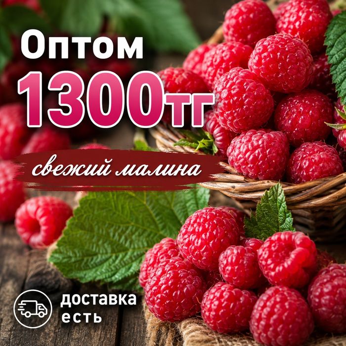 Малина 1300тг оптом