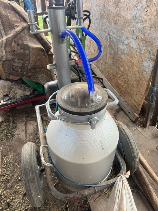 Vând mulgătoare electrică