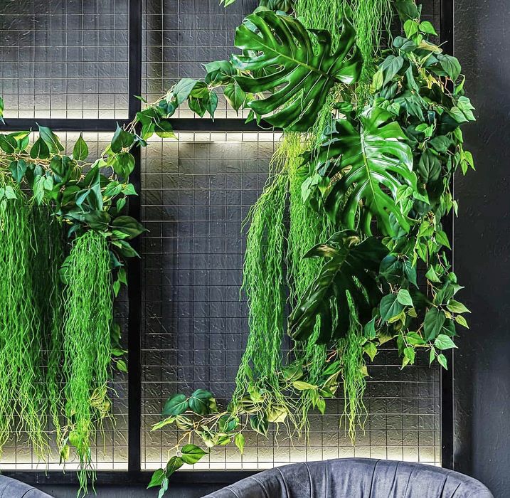 Искуственные растения Мох Фитостена