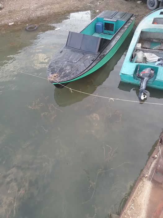 Катер Амур д.  .