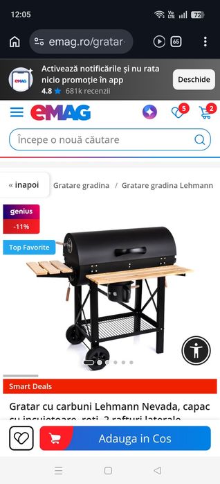 Grătar de curte pe cărbuni
