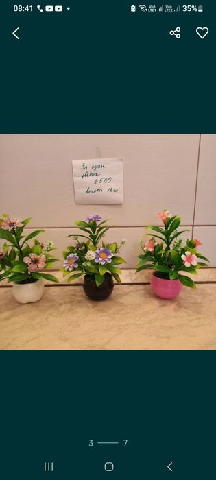 Цветы живые и искусственные