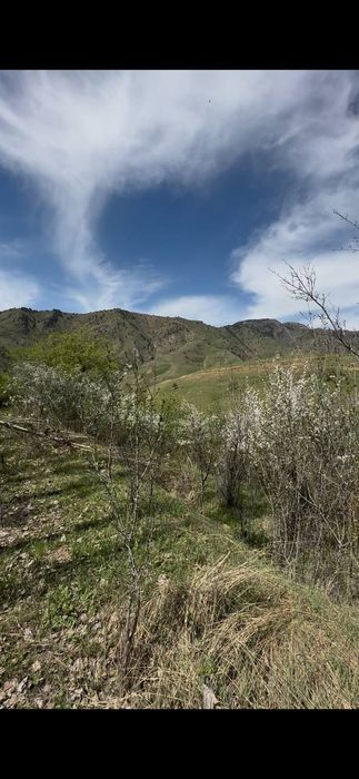 Angren Yangiobod 11 sotx yer