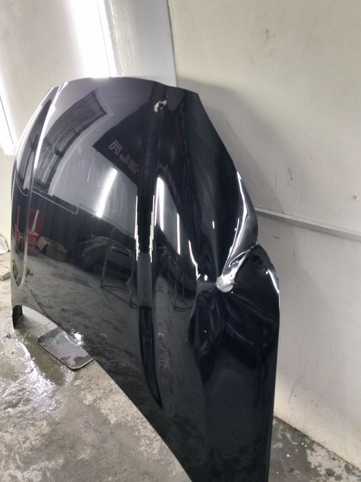 BYD champion kapoʻt