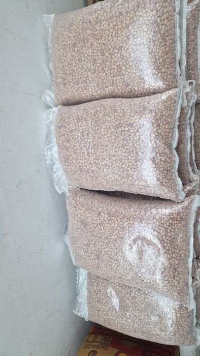 Fasole pestriță România 10kg