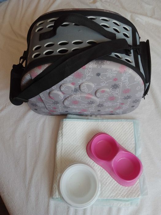 Geanta Transport pentru Caine talie mica sau Pisica si alte Accesorii